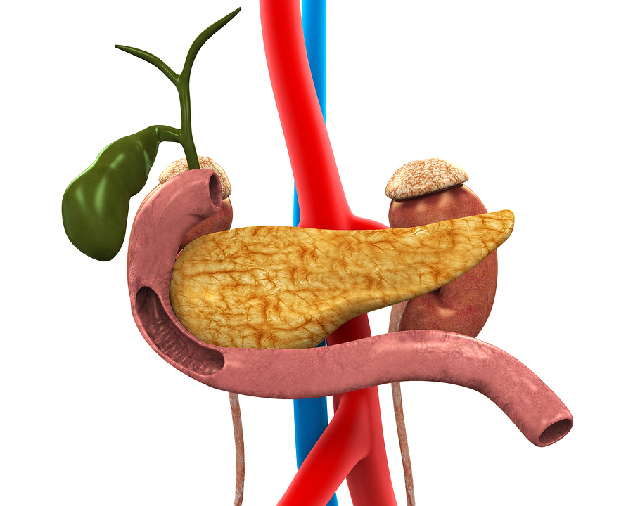 Entstehung Diabetes